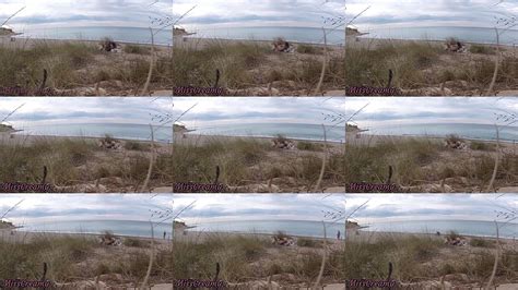 Vidéos miss nude XVIDEOS