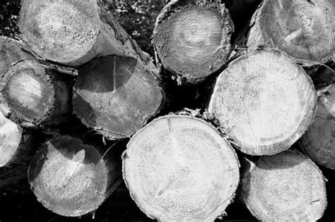 Millwood Flooring