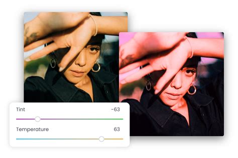 Tint Image Online For Free With Image Tinter | Fotor