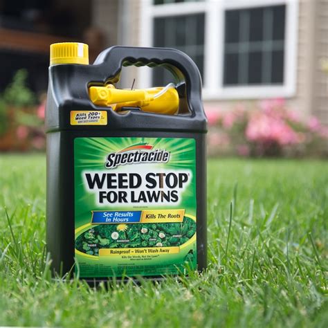 Spectracide Weed Stop For Lawns Ready To Use 1 Gallon Trigger Spray Lawn Weed Killer Hg 95833