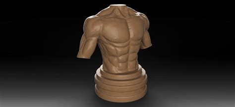 Muscular Male Torso 3D Model 3D Printable CGTrader