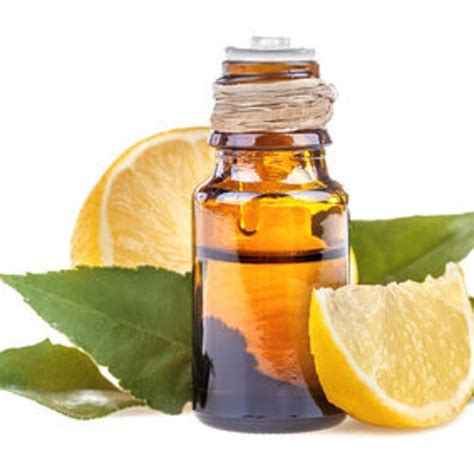 Lemon Essential Oil Cold Pressed Organic 1ml 5ml 10ml 15ml Etsy