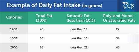 Recommended Daily Grams Of Fat Masturbation Best Way