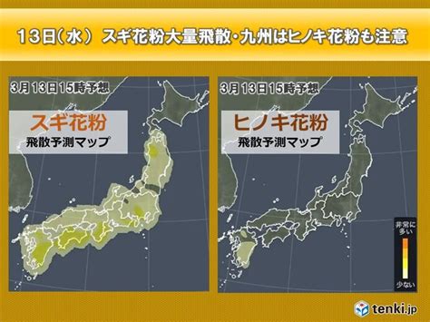 明日13日 花粉大量飛散 万全な対策必須の1週間 関東は予想の約8割飛散した所も（2024年3月12日）｜biglobeニュース