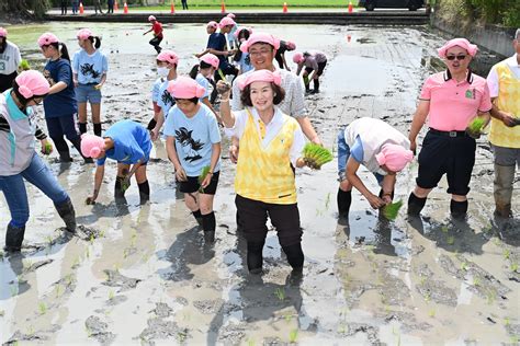 宜蘭米競賽起跑 表揚認購企業 林姿妙與學童一起下田插秧 體驗食農教育 中華日報中華新聞雲