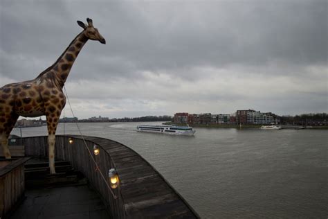 Full-scale replica of Noah's Ark | CTV News