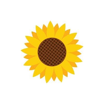 Sunflower Outline Free Vector | Best Flower Site