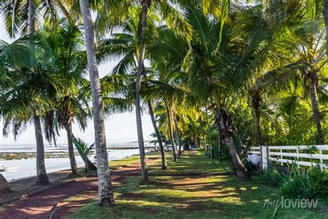 Plage de letang salé les bains île de la réunion cartazes para a