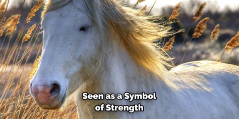 Horse Spiritual Meaning Symbolism And Totem Explained