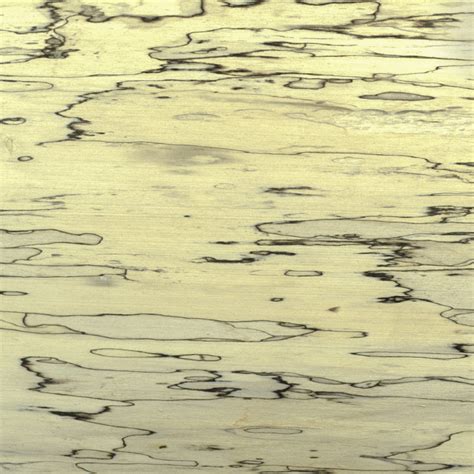 buy spalted maple kiln dried lumber amana forestry  amana ia