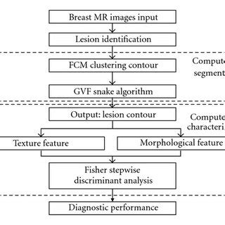 Lesion Segmentation On A Breast Mri Scan A Locate A Rectangle Roi