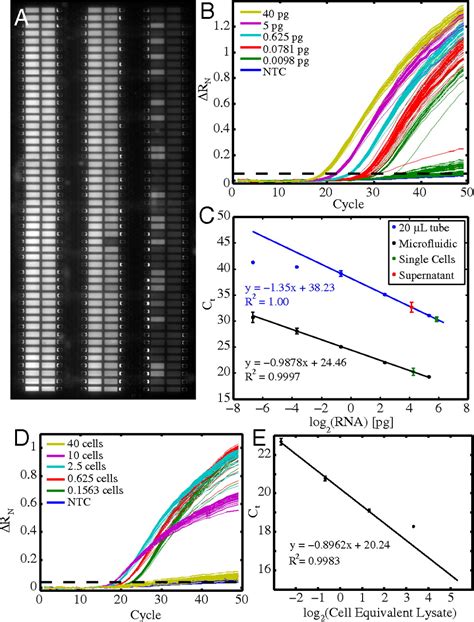 High Throughput Microfluidic Single Cell Rt Qpcr Pnas