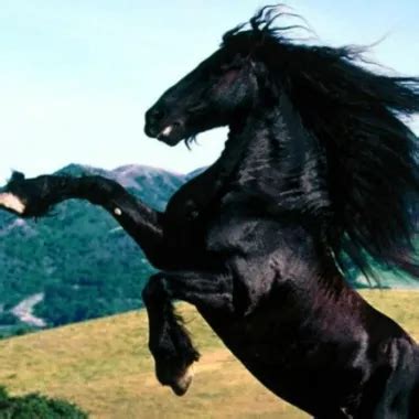 Edukacija European European Porn XHamster