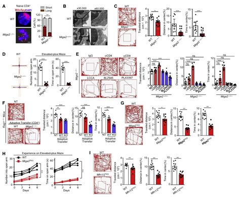 抑制细胞代谢紊乱的抑制剂 Medchemexpress 技术前沿 生物在线 Lab On Web