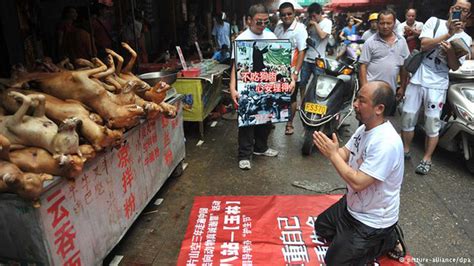 Yulin, Guangxi, China, Some of the dogs eaten at the festival are burnt or boiled alive ...