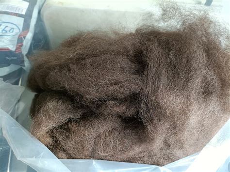 Dark Brown Carded Alpaca Fibre By Yavapi Silverhill Alpacas