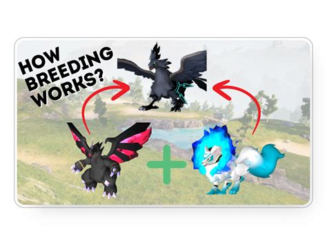 Palworld Breeding Guide: From Basics to Best Combos [2024]