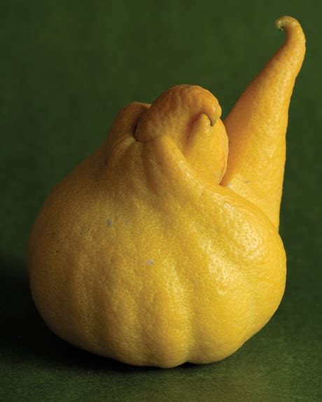 an orange shaped like a snail on a green surface