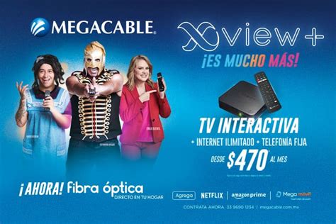 Precio Solo Internet Megacable Fioricet