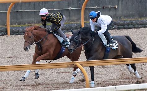 【日本ダービー】ダノンデサイル 右前肢ハ行発症で皐月賞競走除外も影響なし 安田師「疲れもない」 競馬ニュース Netkeiba