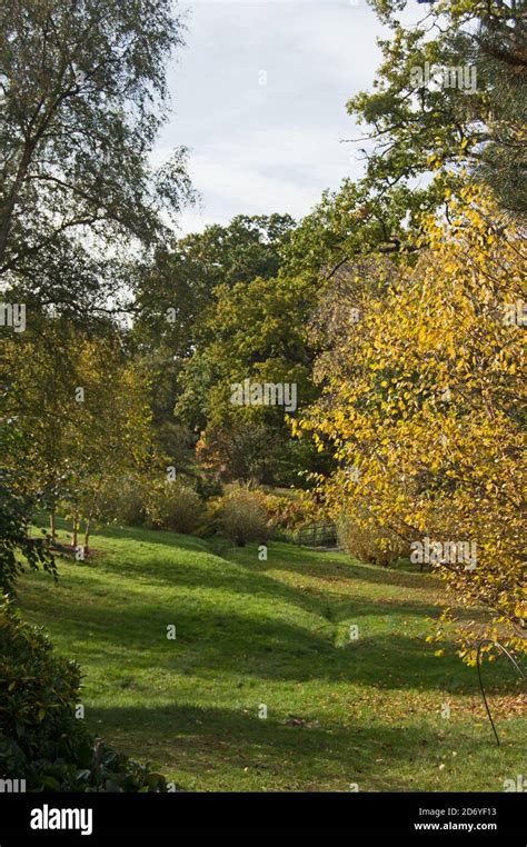 The Savill Garden, Windsor, Autumn 2020 Stock Photo - Alamy