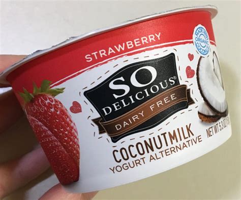 So Delicious Dairy Free Coconut Milk Yogurt Alternative Review