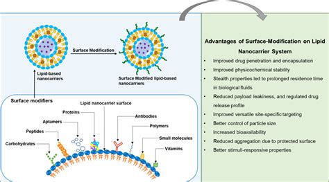 Surface Modification Of Lipid Based Nanocarriers A Potential Approach