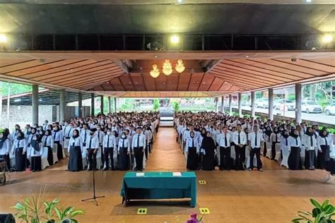 Lowongan Formasi Cpns Untuk Lulusan Sma Sederajat Sebagian Besar