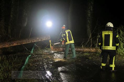 6 2022 Baum auf Straße Feuerwehr Thedinghausen