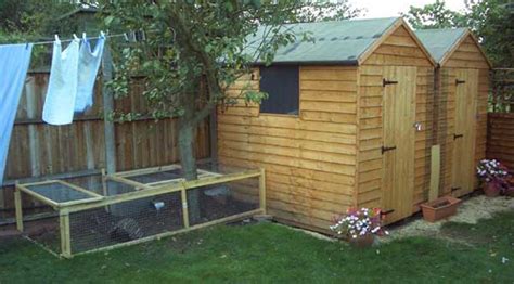 How To Turn Your Shed Into A Rabbit Fun House Waltons Blog Waltons