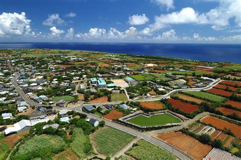 日本一のガジュマル 観光スポット 【公式】沖永良部島観光サイト「おきのえらぶ島の旅」