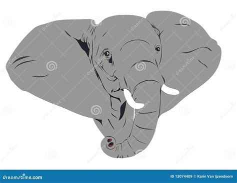 African Elephant Head Stock Illustration Illustration Of Ears 13074409