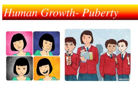 Puberty And Adolescence Ks3 Teaching Resources