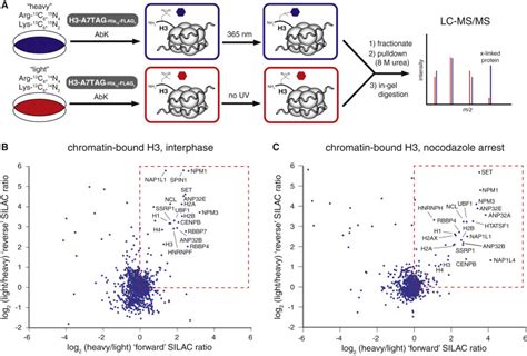 A Chemical Proteomics Approach To Reveal Direct Protein Protein Interactions In Living Cells