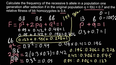 How To Find Expected Allele Frequency