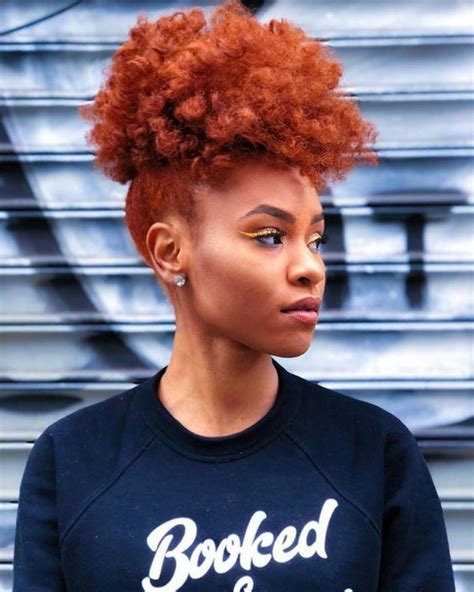 Diy Natural Hair Photo Natural Hair Styles Afro Hairstyles Natural Hair Color