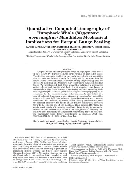 Pdf Quantitative Computed Tomography Of Humpback Whale Megaptera