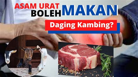 Bolehkah Penderita Asam Urat Makan Daging Kambing YouTube