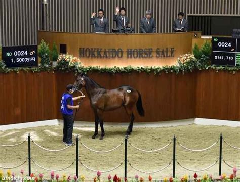 Jra競走に勝ったセール出身馬紹介2024217 18､23頭 インフォメーション｜サラブレッドセール上場予定馬情報＆牧場別繋養馬情報