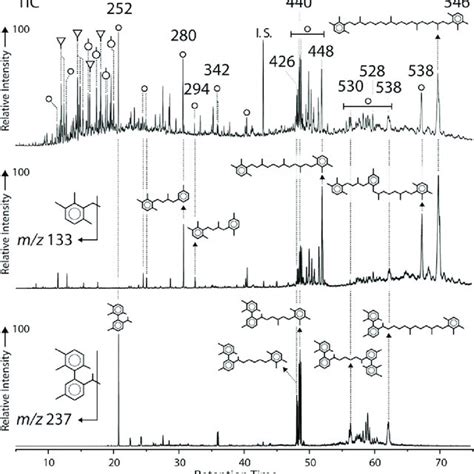 Gc Ms Chromatogram Showing Abundant Isorenieratene Derivatives In The