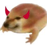 Frogy Meme Generator - Imgflip