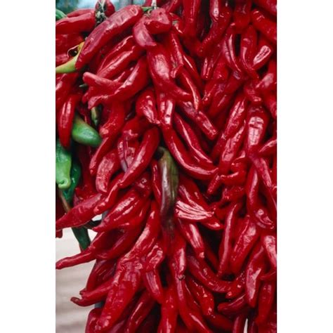 Chinese Hot Pepper Types Our Everyday Life