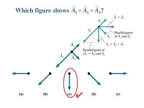 Ppt Chapter 3 Vectors And Coordinate Systems Powerpoint Presentation Id 476784