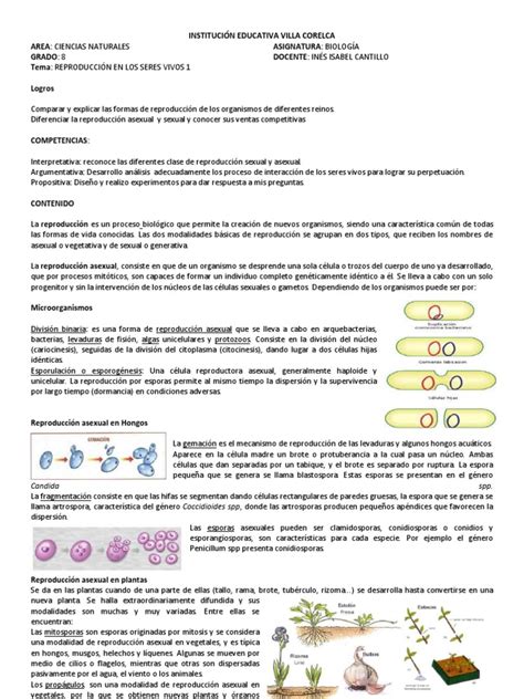 Guia De Reproducción Asexual Reproducción Interacciones Biológicas