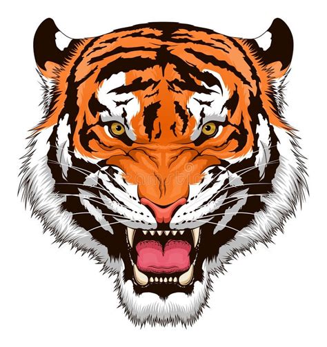 A Head Of A Roaring Tiger Stock Vector Illustration Of Tiger 38215740