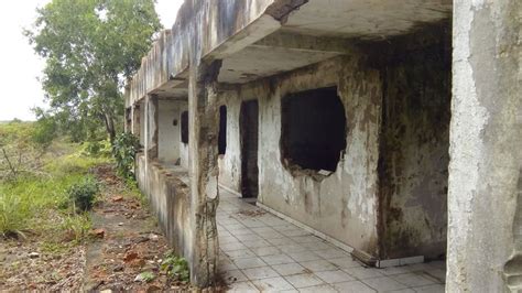 Casa Abandonada Tree Trunk Garden Structures