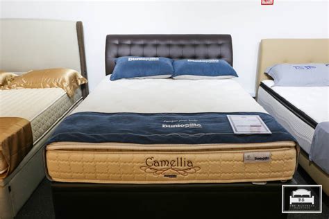 Storage Bed in Singapore | Bed Frame With Storage