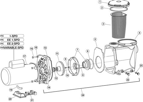 Waterway Spa Pump Wiring Diagram