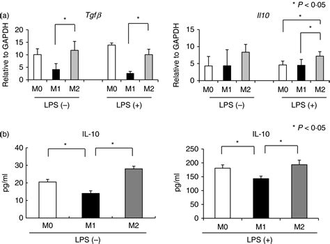 M Polarization Of Murine Peritoneal Macrophages Induces Regulatory