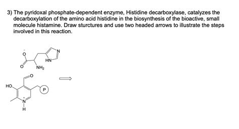 Solved The Pyridoxal Phosphate Dependent Enzyme Histidine